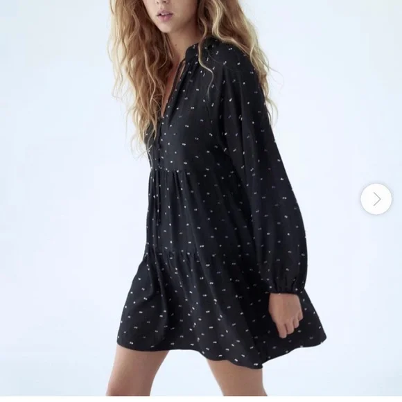 Long Sleeve Zara Polka Dot Mesh Dress Sheer Tulle Zara Polka Dot